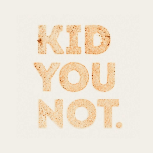 Logo Kid You Not e1469477753225